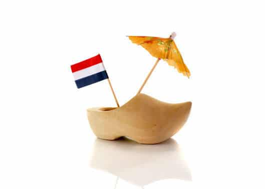 Język holenderski czy niderlandzki?