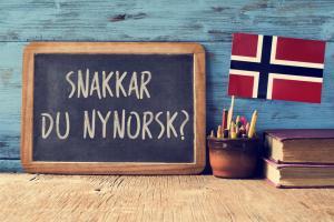 język norweski