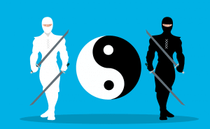 Japonia - samuraj ninja