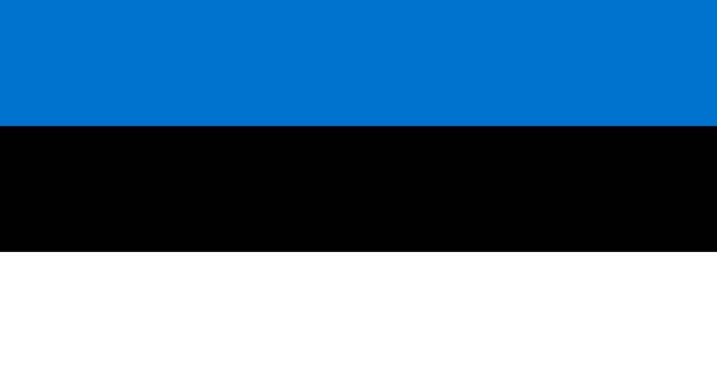 tłumaczenia estoński
